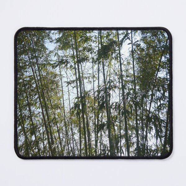 Item preview, Bamboo party designed and sold by Laura Greco.
