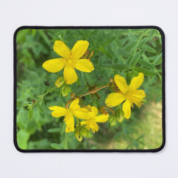 Item preview, Pretty Yellow Wildflowers  designed and sold by Amanda1775.