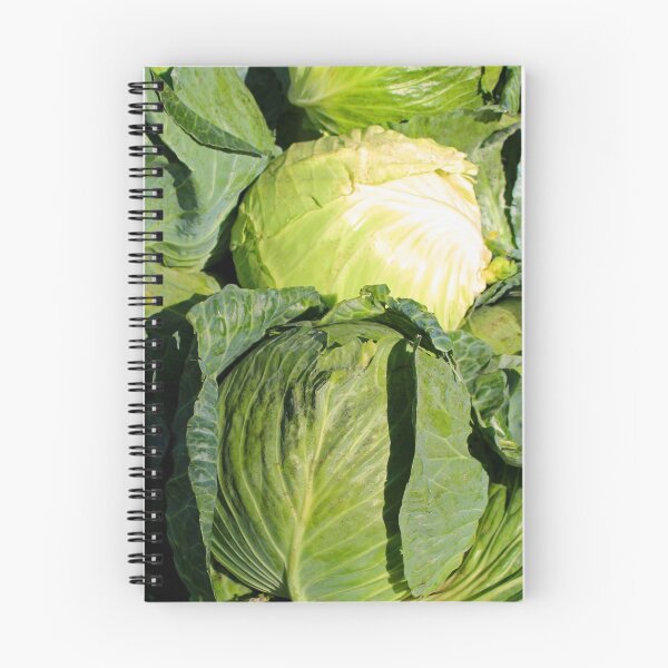 Item preview, Cabbage designed and sold by Michiale.