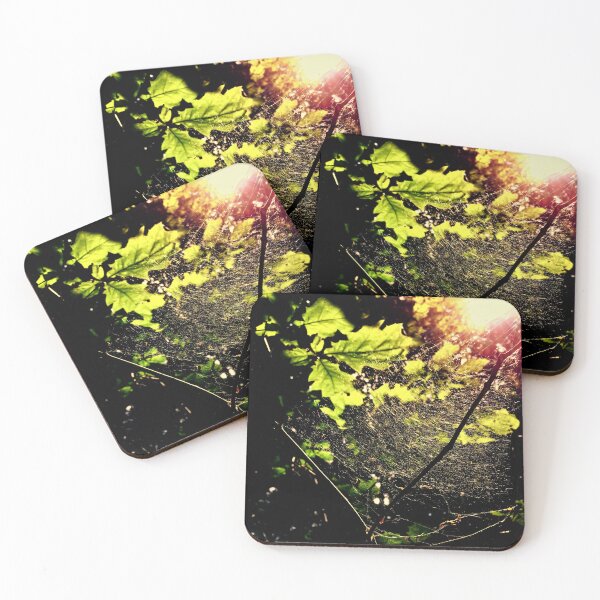 Item preview, Spiderweb in the Forest designed and sold by KaSaPo.
