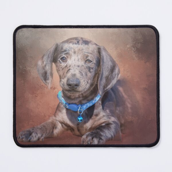 Item preview, Dapple Dachshund Two designed and sold by Elisabeth Lucas.