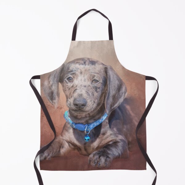Item preview, Dapple Dachshund Two designed and sold by Elisabeth Lucas.