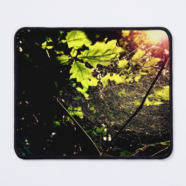 Item preview, Spiderweb in the Forest designed and sold by KaSaPo.