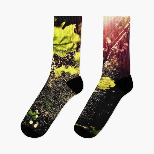 Item preview, Spiderweb in the Forest designed and sold by KaSaPo.