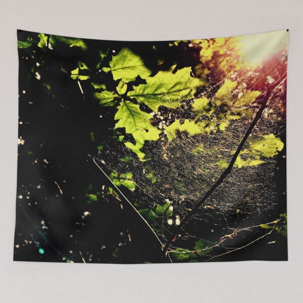 Item preview, Spiderweb in the Forest designed and sold by KaSaPo.