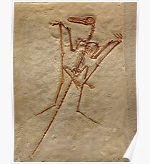 Pterodactyl Fossil Image Poster