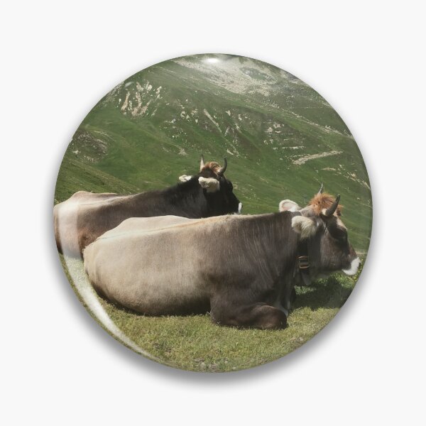 Item preview, Brown Swiss Cattle cows on an Austrian mountain designed and sold by ray-designs-.