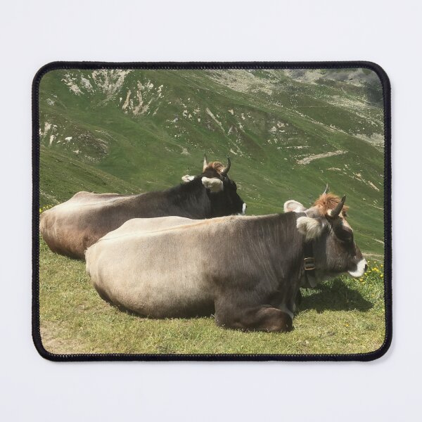 Item preview, Brown Swiss Cattle cows on an Austrian mountain designed and sold by ray-designs-.
