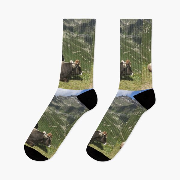 Item preview, Brown Swiss Cattle cows on an Austrian mountain designed and sold by ray-designs-.