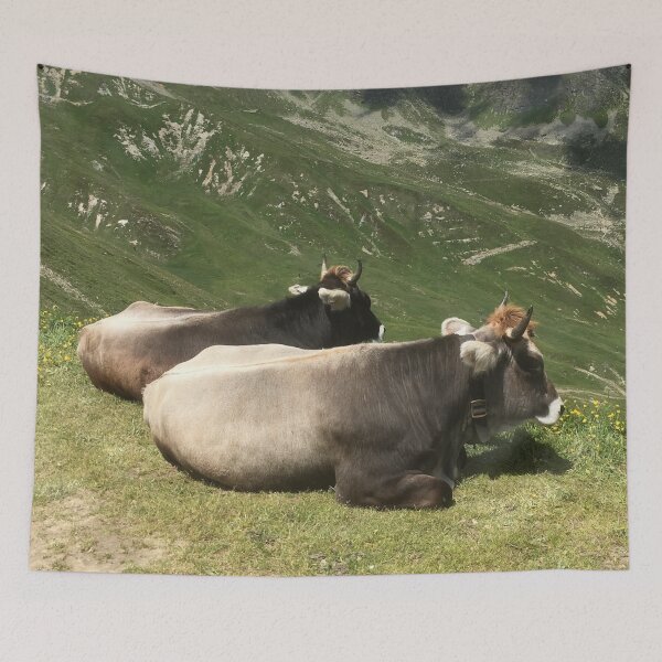 Item preview, Brown Swiss Cattle cows on an Austrian mountain designed and sold by ray-designs-.