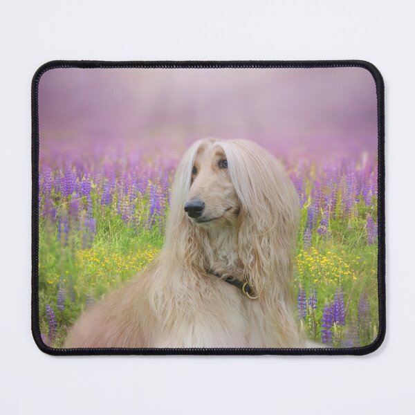 Item preview, Afghan Hound in a Lupine Meadow designed and sold by Elisabeth Lucas.