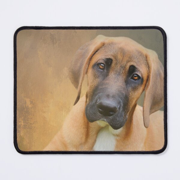 Item preview, Broholmer Dog One designed and sold by Elisabeth Lucas.