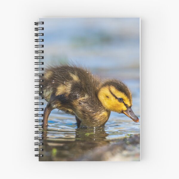 Item preview, Duckling designed and sold by Greg Birkett.