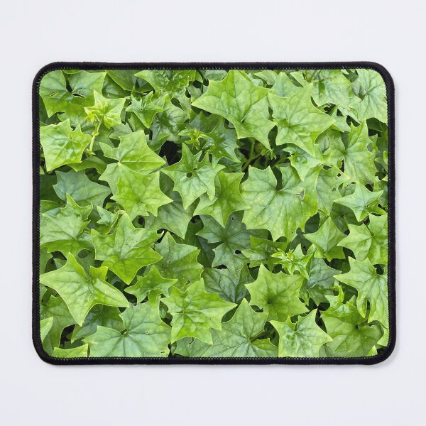 Item preview, Green ivy with star shaped leaves designed and sold by ray-designs-.