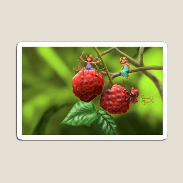Raspberry Magnet
