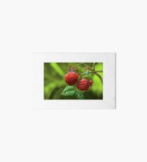 Raspberry Art Board