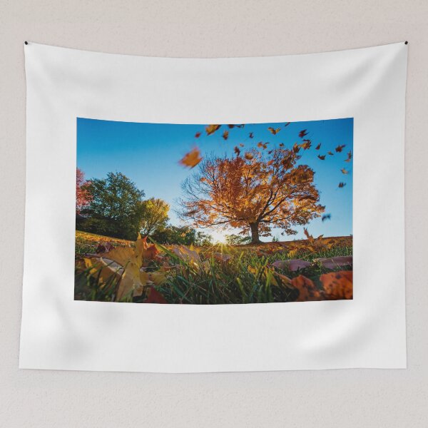 Item preview, Windy october designed and sold by MIRCEA COSTINA.