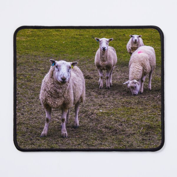 Item preview, Sheep dream designed and sold by SzendeB.