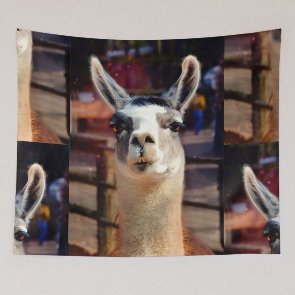 Item preview, Llama designed and sold by Savannah Gibbs.