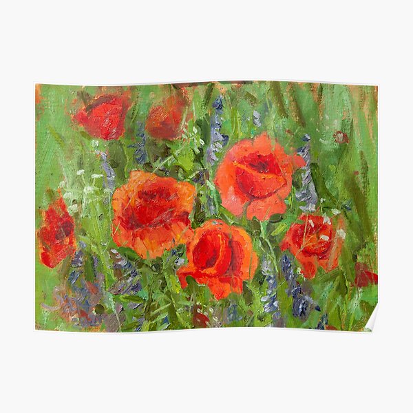 Red Poppies in Nature Poster