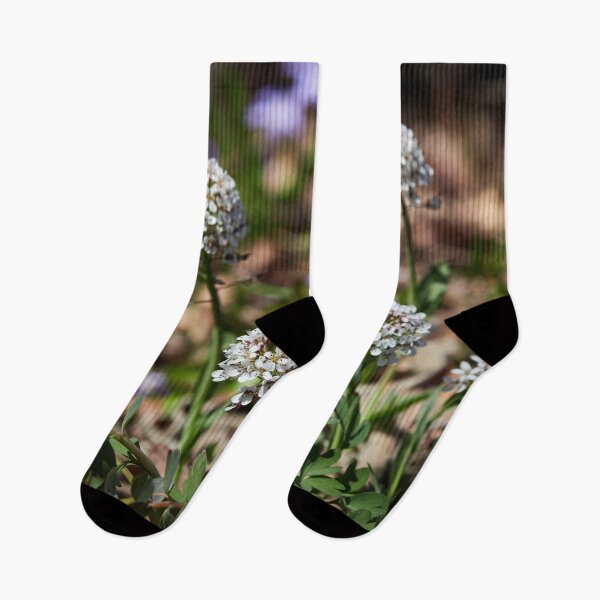Item preview, Showing the balls. Alpine pennygrass designed and sold by Jouko Lehto Photography.