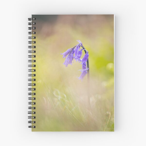 Item preview, Isolated English Bluebells designed and sold by neonlightphoto.