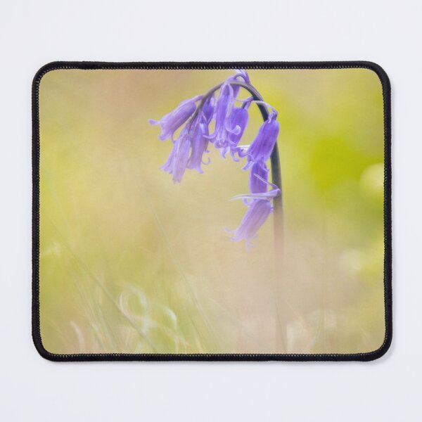 Item preview, Isolated English Bluebells designed and sold by neonlightphoto.