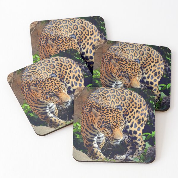 Item preview, jaguar macho designed and sold by Savannah Gibbs.