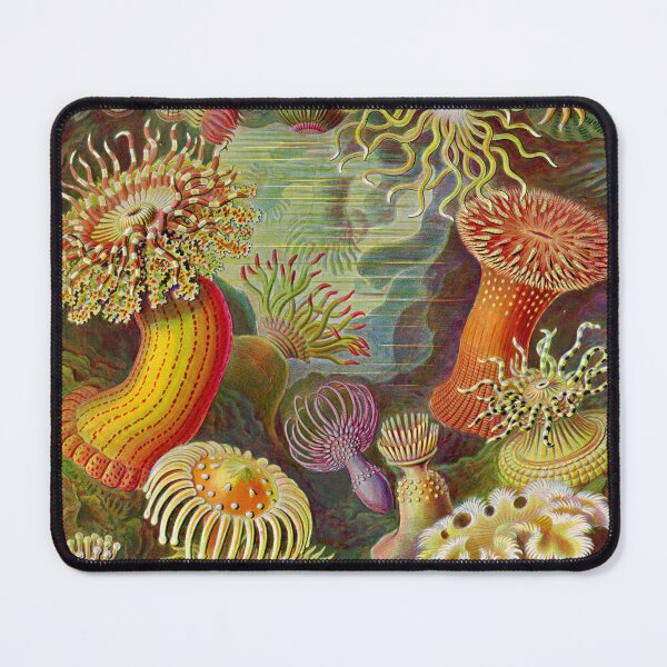 Item preview, Vintage Sealife Underwater designed and sold by livianasgifts.