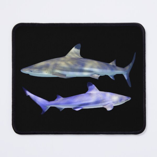 Item preview, 2 Lesser Blacktip Shark, Of course designed and sold by CreaVisArt.