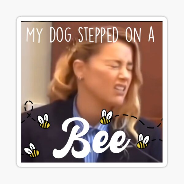 Amber My Dog Stepped On A Bee GIF - Amber My Dog Stepped On A Bee