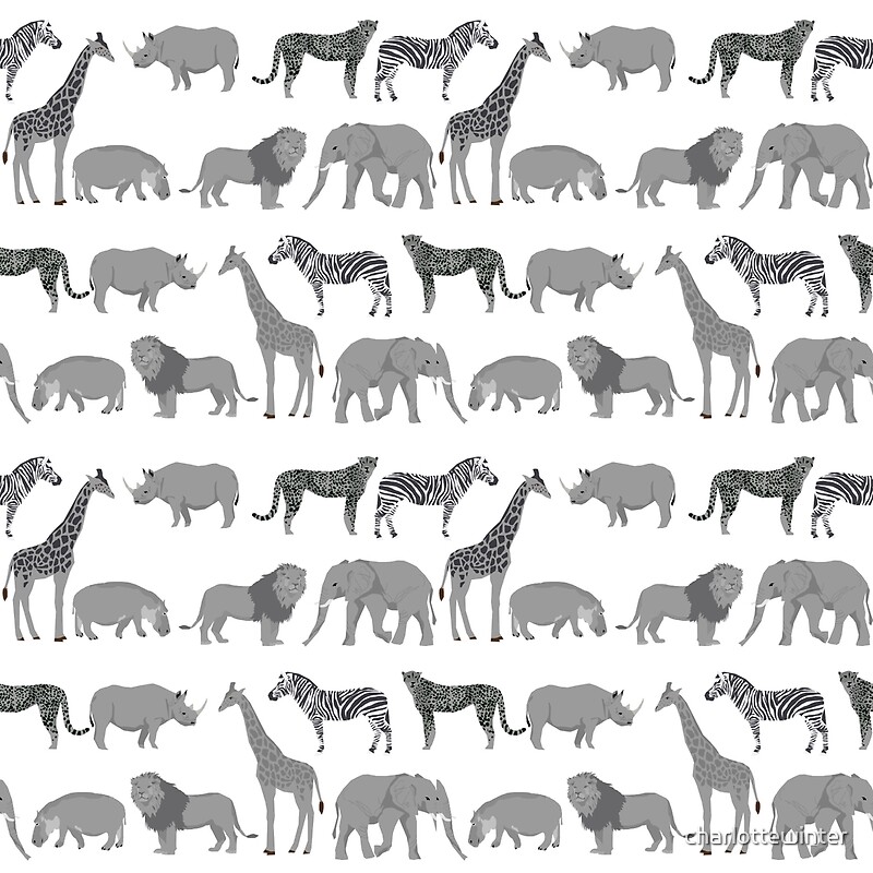African Wild Elephant by Wild Apple Animal Safari Print Poster 12x12