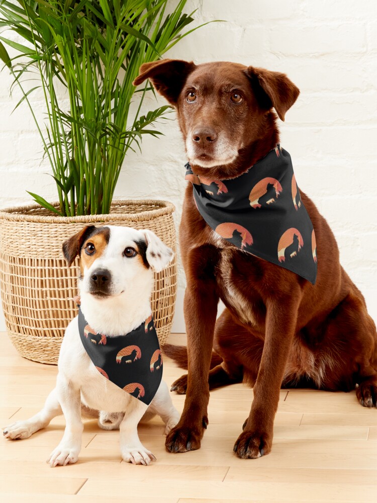 Dog Bandana | Big Sky