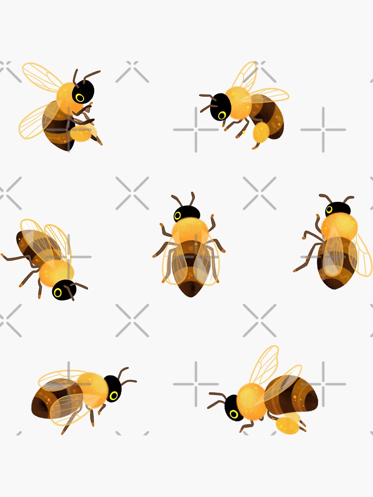 Discover Honey bees Sticker