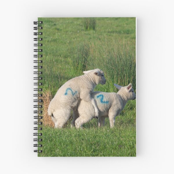 Item preview, Early Learning in the Spring term. designed and sold by GingerMan2550.
