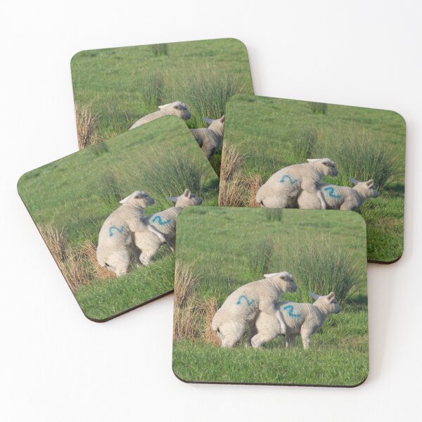 Item preview, Early Learning in the Spring term. designed and sold by GingerMan2550.