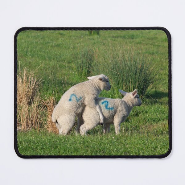 Item preview, Early Learning in the Spring term. designed and sold by GingerMan2550.