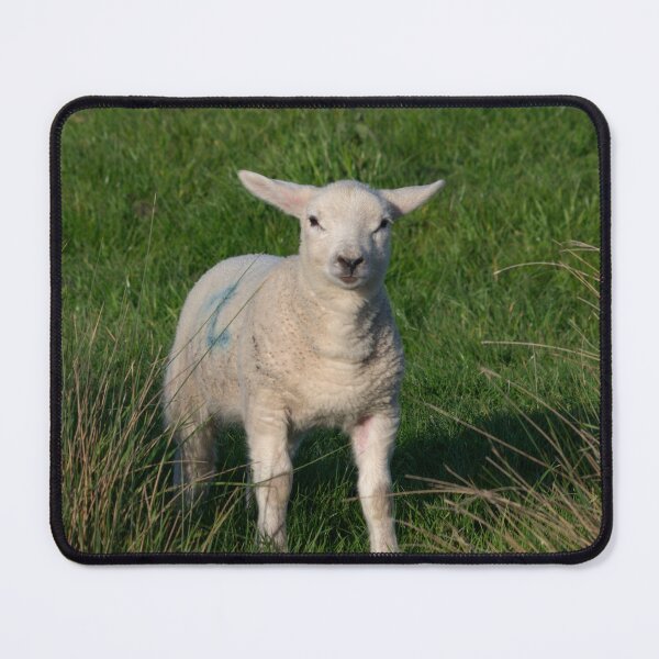 Item preview, Inquisitive Lamb. designed and sold by GingerMan2550.