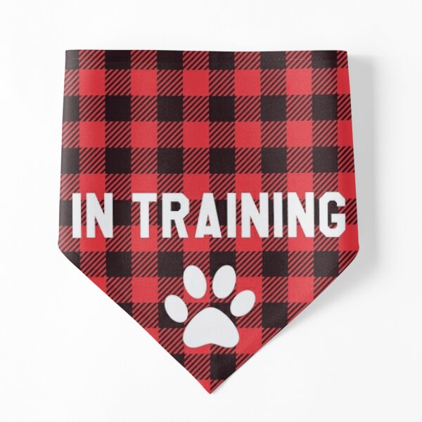 Red and Black Plaid Football Dog Bandana