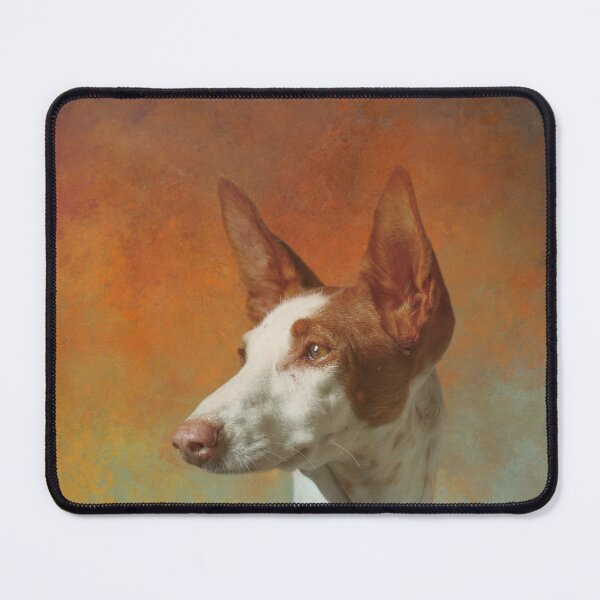 Item preview, Ibiza Hound One designed and sold by Elisabeth Lucas.
