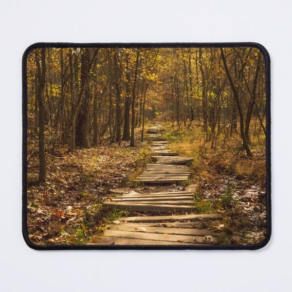 Item preview, Into the Woods designed and sold by CiaravinoStudio.