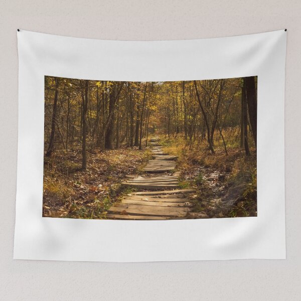 Item preview, Into the Woods designed and sold by CiaravinoStudio.