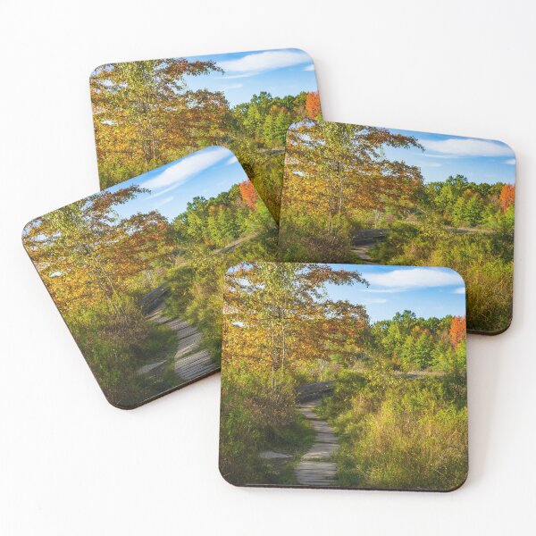 Item preview, Pleasant Path designed and sold by CiaravinoStudio.