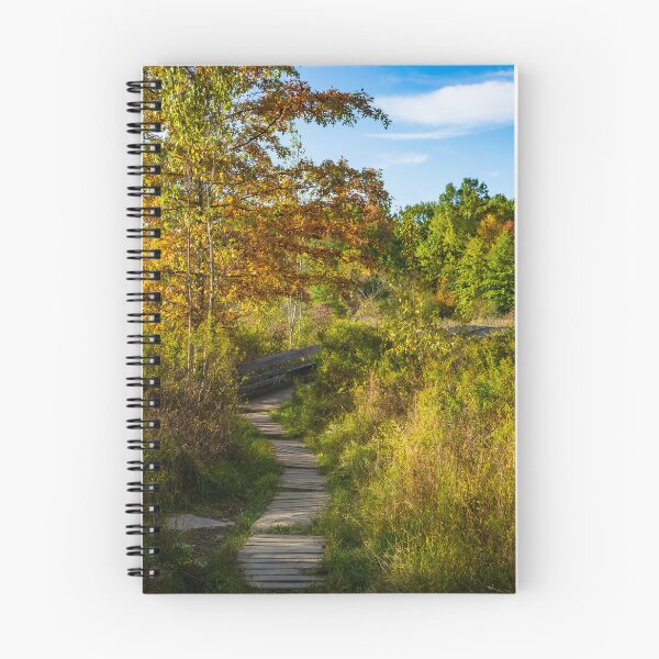Item preview, Pleasant Path designed and sold by CiaravinoStudio.