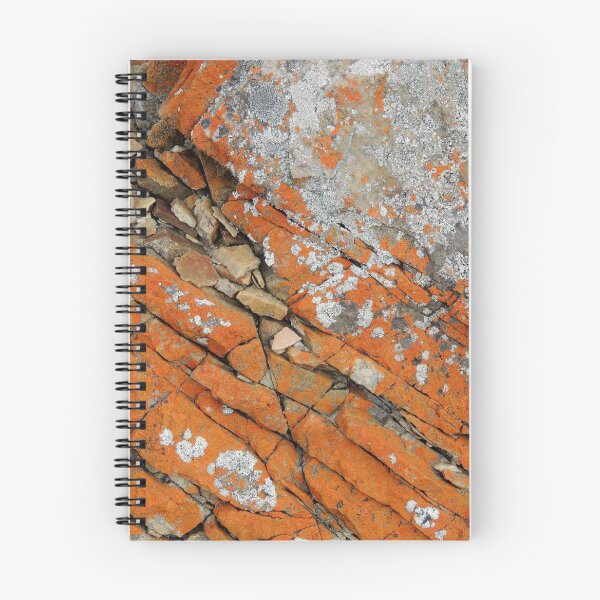 Item preview, Patterns and Surfaces, Arthur River, Tasmania, Australia. designed and sold by kaysharp.