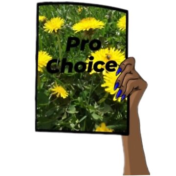 Artwork thumbnail, Pro choice by Artistkhg