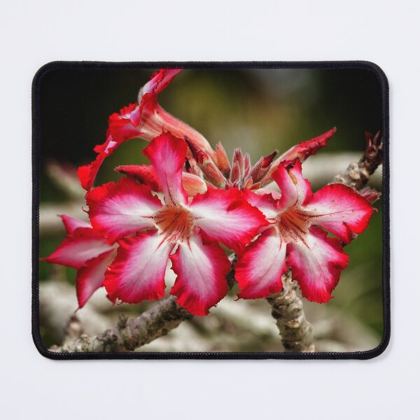 Item preview, Impala Lily designed and sold by Dead-Moroz.