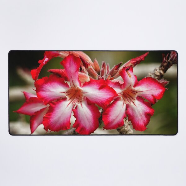 Item preview, Impala Lily designed and sold by Dead-Moroz.