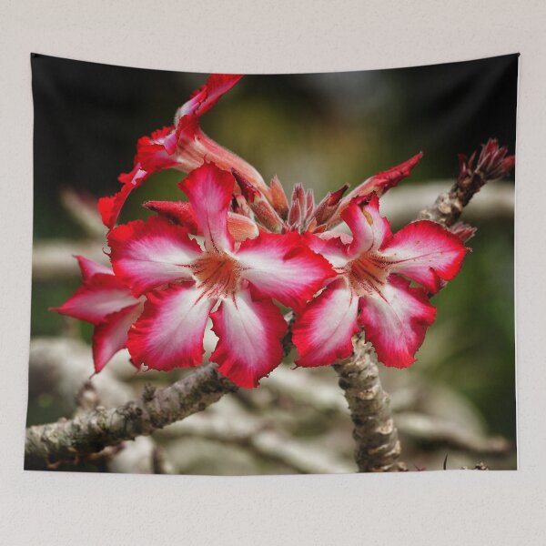 Item preview, Impala Lily designed and sold by Dead-Moroz.