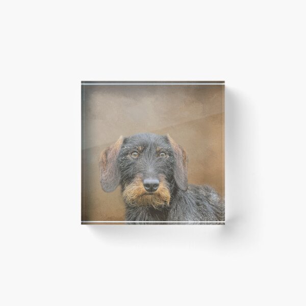 Item preview, Wire-Haired Dachshund designed and sold by Elisabeth Lucas.